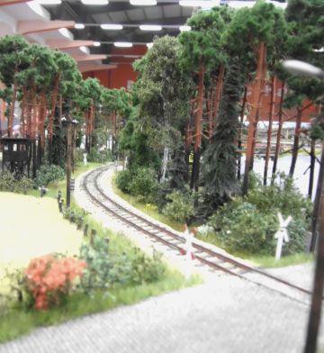 Auf Marios neuer Spreewaldbahn-Kiefern wie in Natur